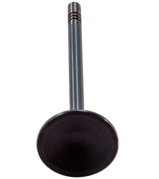 V5560 2 bot