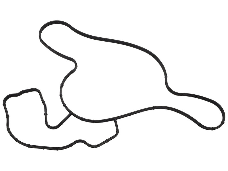 Прокладка водяного насоса