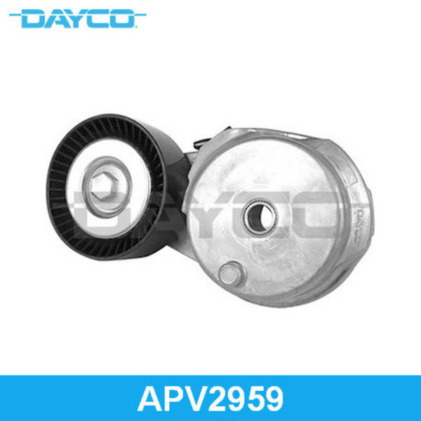 Apv2959