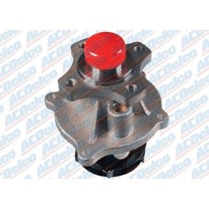 252 822 water pump assembly